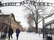 Conmoción Polonia robo cartel entrada Auschwitz