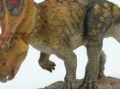 Chasmosaurus