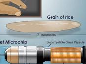 Marcaje anfibios microchips