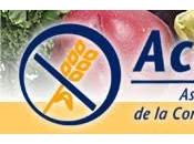 Boletín informativo acecova
