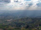 Nebbiolo: final trayecto
