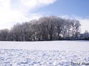 Nevadas todo Cantábrico
