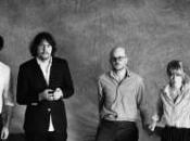 Shout Louds Work