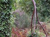 Bosque animado