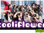 ¡Cooliflower News!