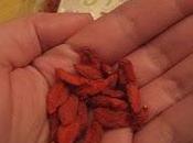 Bayas Goji