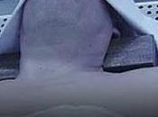 Nuevas fotos para cajetillas tabaco