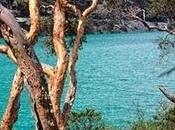 Naturaleza, mágico encanto poder relajante