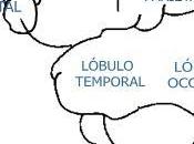 Relación entre percepción visual atención
