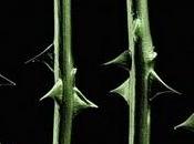 Type Negative October Rust (1996)