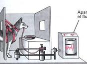 Perro ladrador