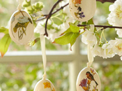 Huevos pascua_easter eggs