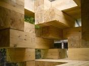 Fujimoto