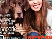Victoria stilwell