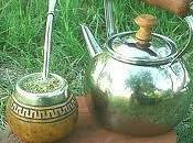 mate verde: bebida antioxidante saludable