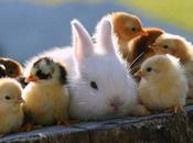 Happy Easter