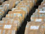 PUERTO RICO: Ocupan 28.5 kilos coca procedentes Rep.Dominicana