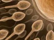 problemas fertilidad masculina incapacidad producir espermatozoides