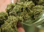 ¿Cómo afectan drogas nuestras neuronas?