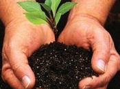 Datos para elaborar compost