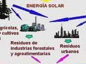 Energías Renovables: biomasa forestal