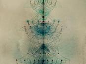 estructura caos
