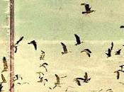 Nouvelle cuisine memoria