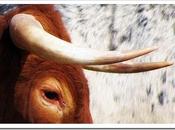 puntas”, verdad Fiesta