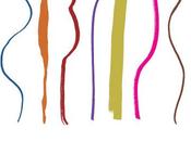 pasos para hacer paces cuerpo