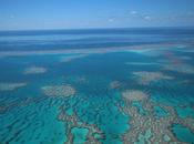 Gran Barrera Coral
