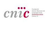 Becas realización tesis doctoral CNIC 2012