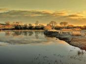 Soleá amor desprendío