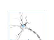 Premio Neuron Biopharma mejor Tesis Doctoral Neurociencias