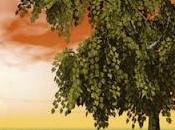 Fábula árbol...