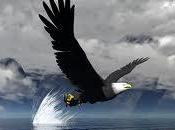 Oportunidad