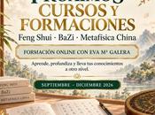 ¿Cuál será próxima formación?
