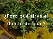 ¿Para sirve diente león?