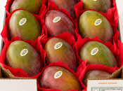 Frutas Verde impulsa nueva forma comprar frutas tropicales online desde Almuñécar