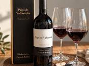 Cuatro vinos para catar este otoño