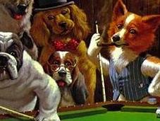 Como jugar perro