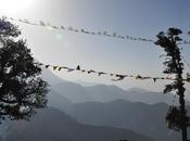 Trekking Triund