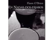 nadar pájaros