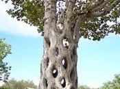 Naturaleza manipulada