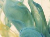 drop Alberto Seveso
