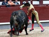 primera frente
