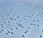 Desarrollan sistema visualización braille pantalla completa