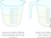 Composición leche materna