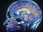 Neurociencia: breve guía