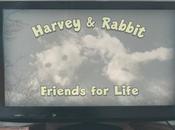 Harvey Rabbit: poder T.V.