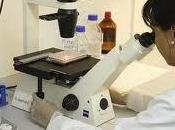 Nueva plataforma para estudiar enfermedades raras entre médicos pacientes